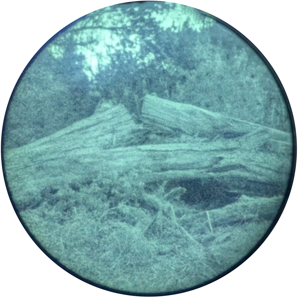 Through-the-tube view of an outdoor scene through a Gen 2+ autogated white phosphor tube
